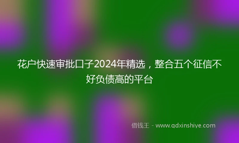 花户快速审批口子2024年精选，整合五个征信不好负债高的平台