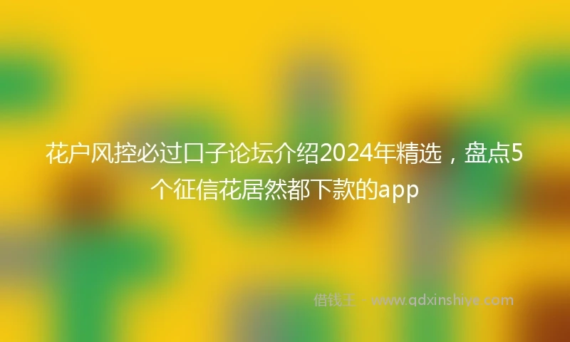 花户风控必过口子论坛介绍2024年精选，盘点5个征信花居然都下款的app