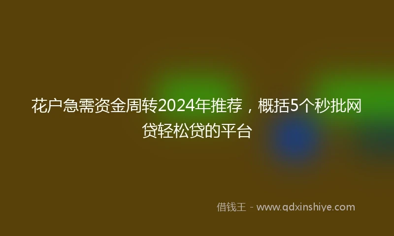 花户急需资金周转2024年推荐，概括5个秒批网贷轻松贷的平台