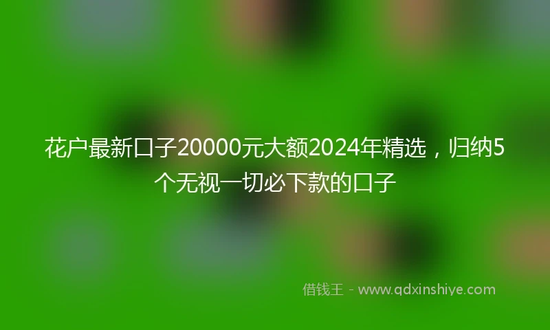 花户最新口子20000元大额2024年精选，归纳5个无视一切必下款的口子