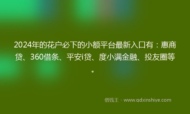 2024年的花户必下的小额平台最新入口有：惠商贷、360借条、平安i贷、度小满金融、投友圈等。