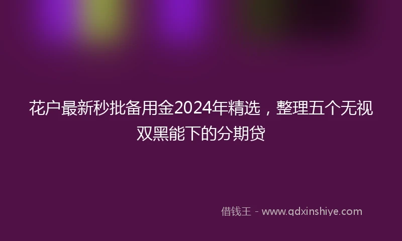 花户最新秒批备用金2024年精选，整理五个无视双黑能下的分期贷