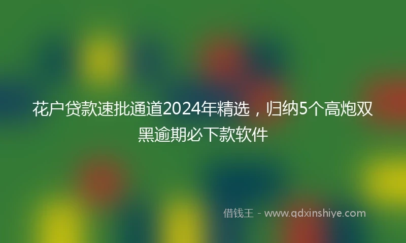 花户贷款速批通道2024年精选，归纳5个高炮双黑逾期必下款软件