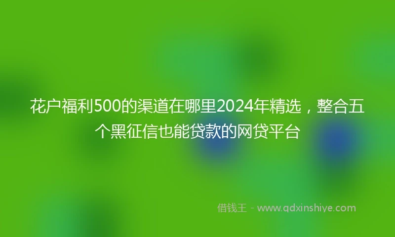 花户福利500的渠道在哪里2024年精选，整合五个黑征信也能贷款的网贷平台