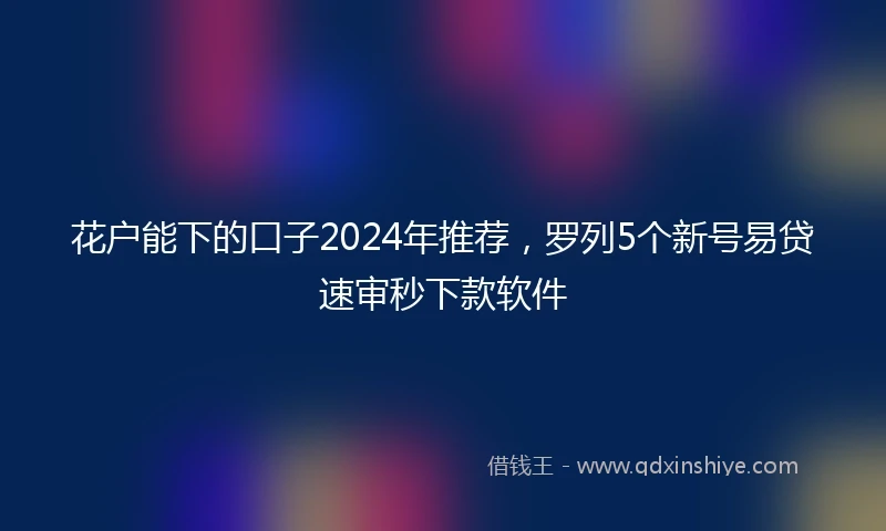 花户能下的口子2024年推荐，罗列5个新号易贷速审秒下款软件