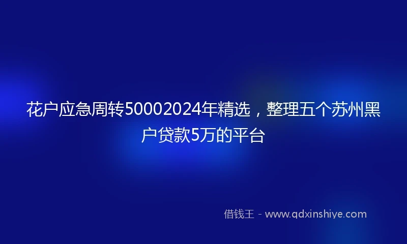 花户应急周转50002024年精选，整理五个苏州黑户贷款5万的平台