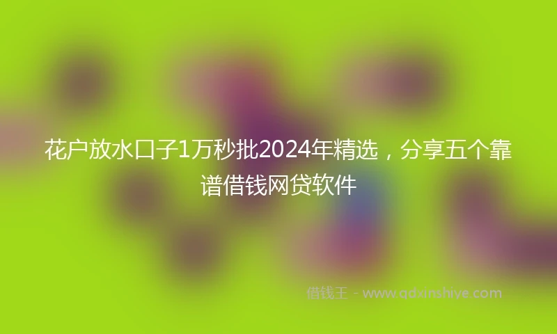 花户放水口子1万秒批2024年精选，分享五个靠谱借钱网贷软件