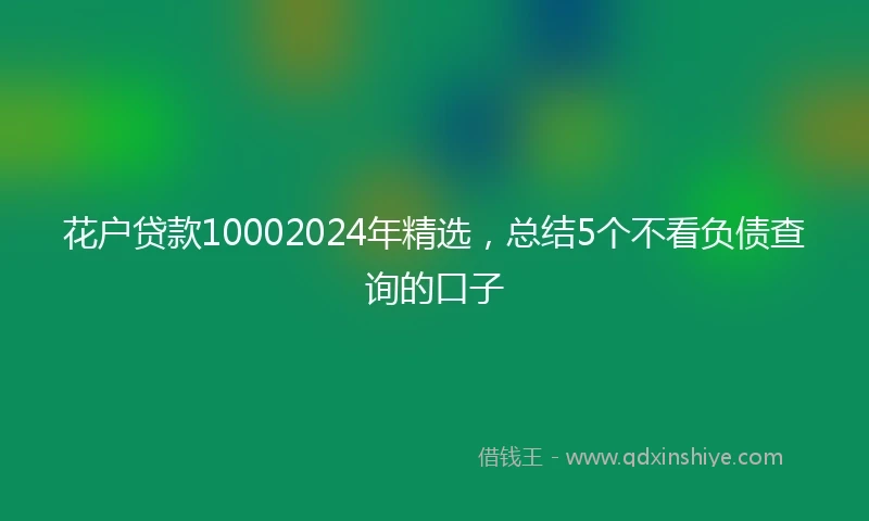 花户贷款10002024年精选，总结5个不看负债查询的口子