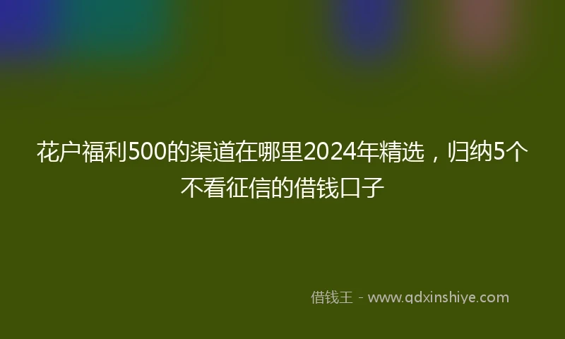 花户福利500的渠道在哪里2024年精选，归纳5个不看征信的借钱口子