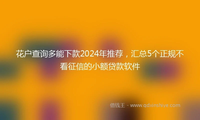 花户查询多能下款2024年推荐，汇总5个正规不看征信的小额贷款软件