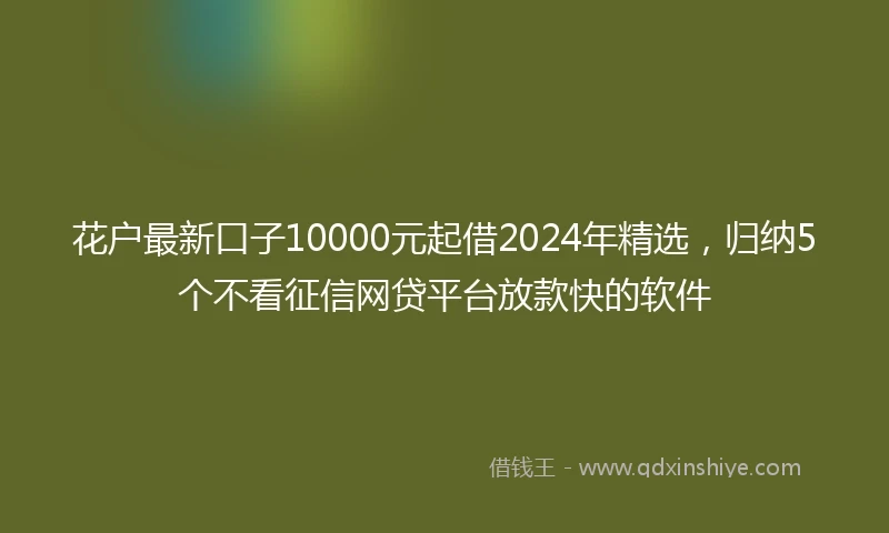 花户最新口子10000元起借2024年精选，归纳5个不看征信网贷平台放款快的软件