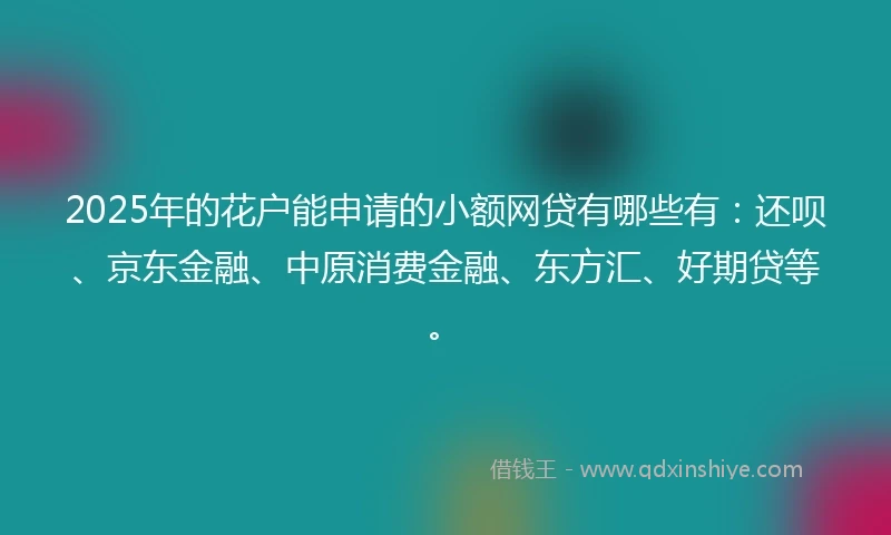2025年的花户能申请的小额网贷有哪些有：还呗、京东金融、中原消费金融、东方汇、好期贷等。