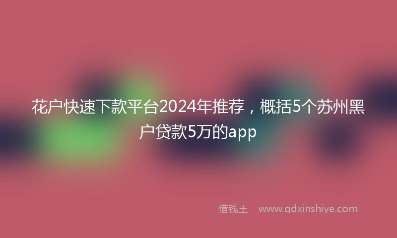 花户快速下款平台2024年推荐，概括5个苏州黑户贷款5万的app