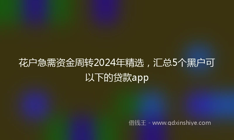 花户急需资金周转2024年精选，汇总5个黑户可以下的贷款app