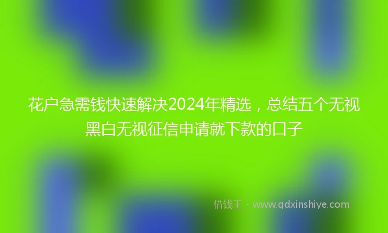 花户急需钱快速解决2024年精选，总结五个无视黑白无视征信申请就下款的口子