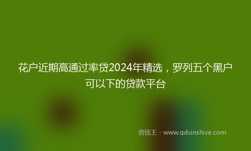 花户近期高通过率贷2024年精选，罗列五个黑户可以下的贷款平台
