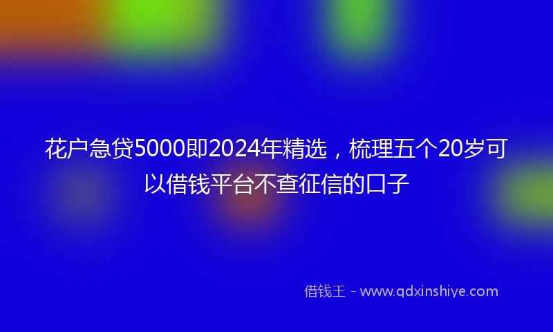 花户急贷5000即2024年精选，梳理五个20岁可以借钱平台不查征信的口子