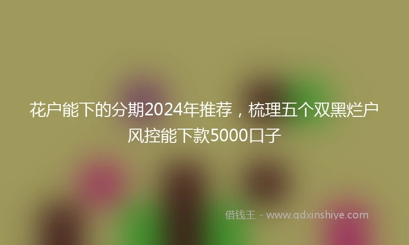 花户能下的分期2024年推荐，梳理五个双黑烂户风控能下款5000口子