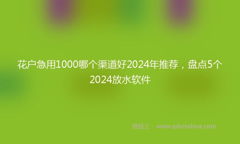 花户急用1000哪个渠道好2024年推荐，盘点5个2024放水软件