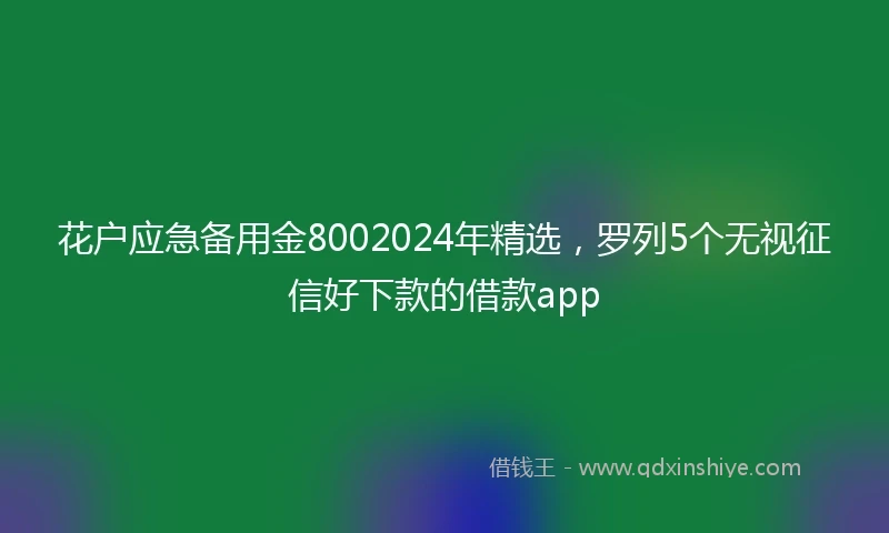 花户应急备用金8002024年精选，罗列5个无视征信好下款的借款app