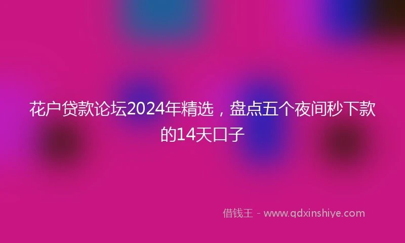 花户贷款论坛2024年精选，盘点五个夜间秒下款的14天口子