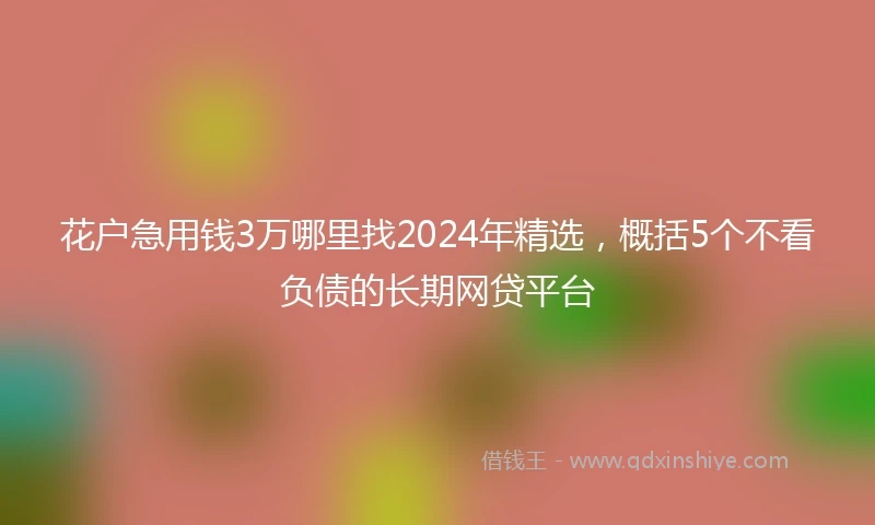 花户急用钱3万哪里找2024年精选，概括5个不看负债的长期网贷平台