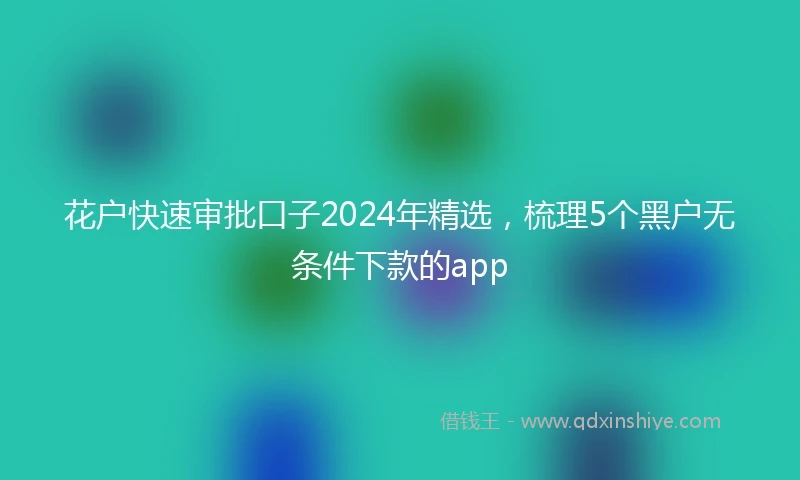花户快速审批口子2024年精选，梳理5个黑户无条件下款的app
