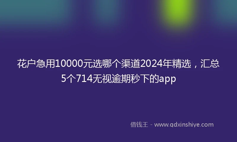花户急用10000元选哪个渠道2024年精选，汇总5个714无视逾期秒下的app