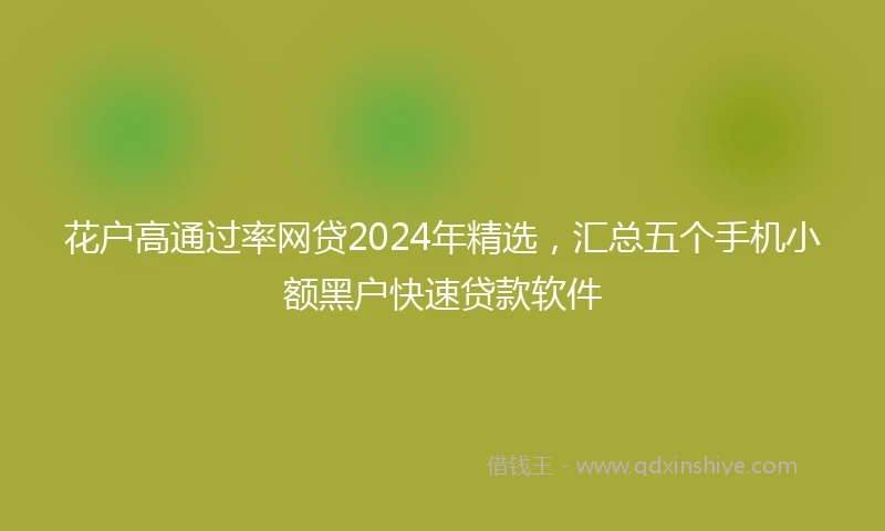 花户高通过率网贷2024年精选，汇总五个手机小额黑户快速贷款软件