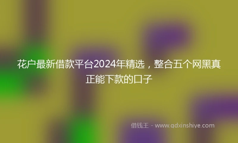 花户最新借款平台2024年精选，整合五个网黑真正能下款的口子