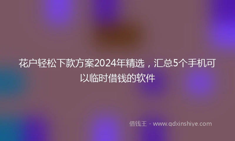 花户轻松下款方案2024年精选，汇总5个手机可以临时借钱的软件