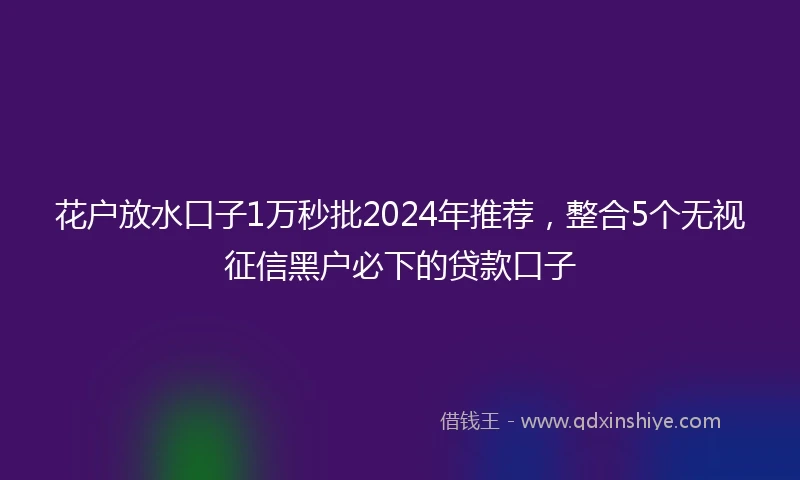 花户放水口子1万秒批2024年推荐，整合5个无视征信黑户必下的贷款口子