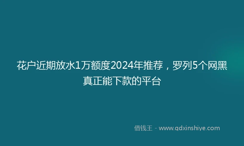 花户近期放水1万额度2024年推荐，罗列5个网黑真正能下款的平台