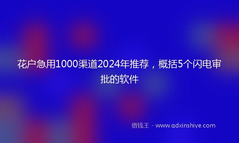 花户急用1000渠道2024年推荐，概括5个闪电审批的软件