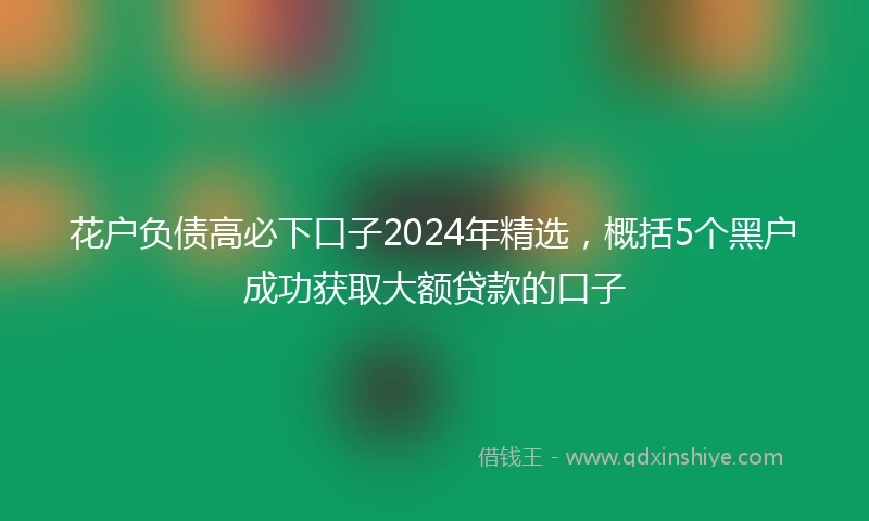 花户负债高必下口子2024年精选，概括5个黑户成功获取大额贷款的口子