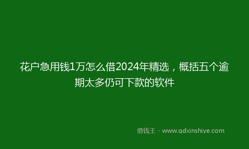 花户急用钱1万怎么借2024年精选，概括五个逾期太多仍可下款的软件