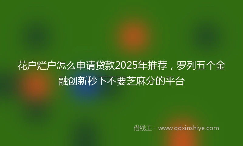 花户烂户怎么申请贷款2025年推荐，罗列五个金融创新秒下不要芝麻分的平台