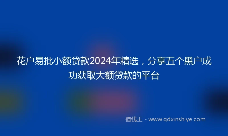 花户易批小额贷款2024年精选，分享五个黑户成功获取大额贷款的平台