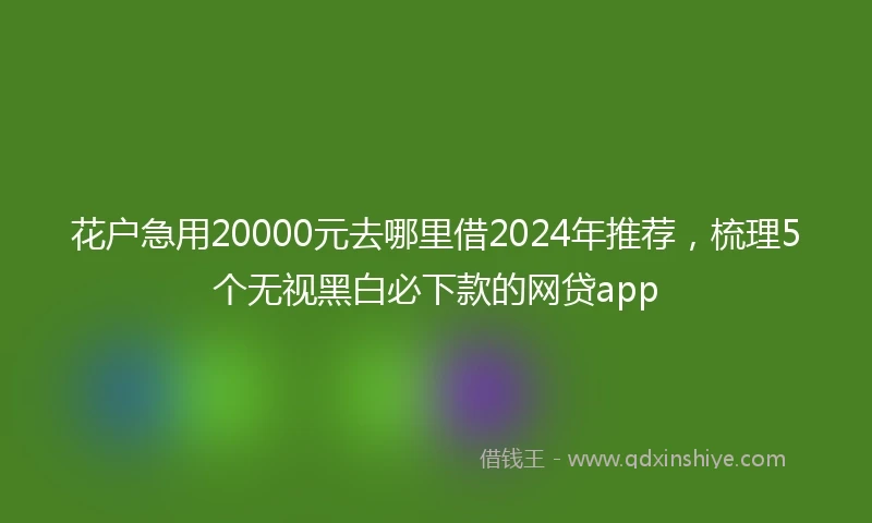 花户急用20000元去哪里借2024年推荐，梳理5个无视黑白必下款的网贷app