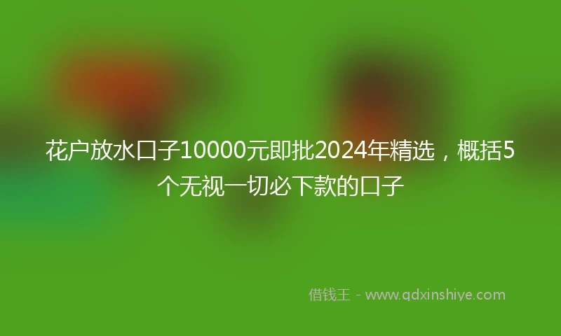 花户放水口子10000元即批2024年精选，概括5个无视一切必下款的口子