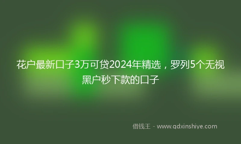 花户最新口子3万可贷2024年精选，罗列5个无视黑户秒下款的口子