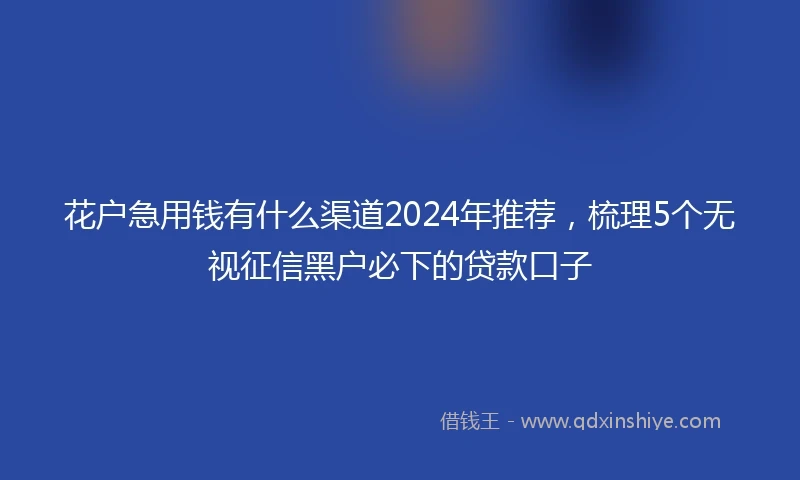 花户急用钱有什么渠道2024年推荐，梳理5个无视征信黑户必下的贷款口子
