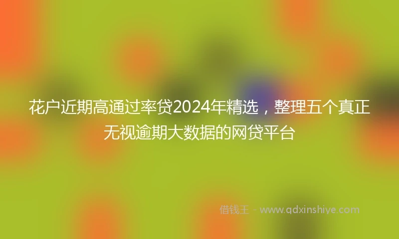 花户近期高通过率贷2024年精选，整理五个真正无视逾期大数据的网贷平台