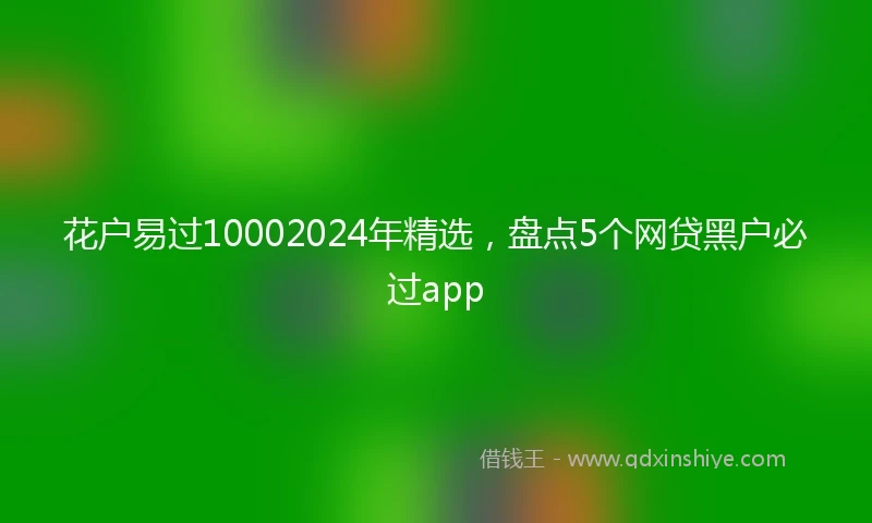 花户易过10002024年精选，盘点5个网贷黑户必过app
