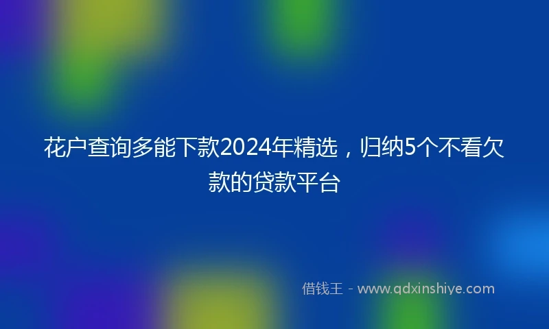 花户查询多能下款2024年精选，归纳5个不看欠款的贷款平台