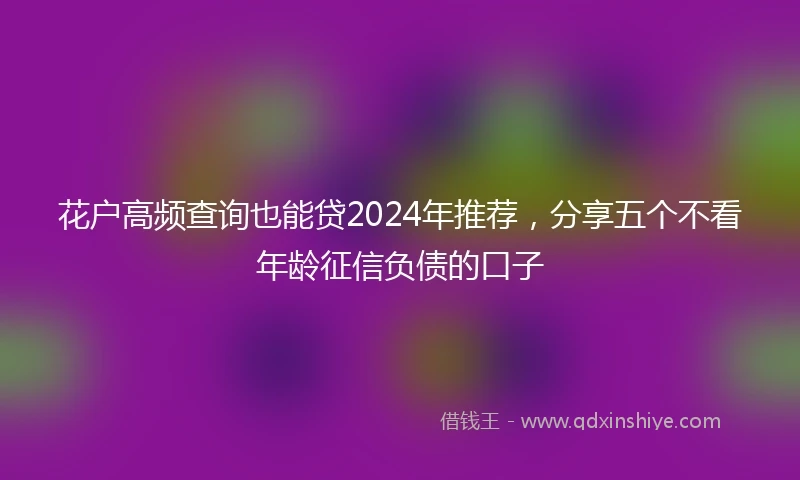 花户高频查询也能贷2024年推荐，分享五个不看年龄征信负债的口子