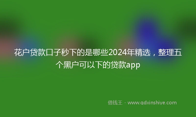 花户贷款口子秒下的是哪些2024年精选，整理五个黑户可以下的贷款app