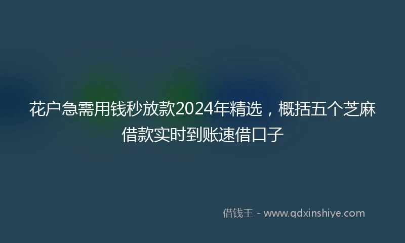 花户急需用钱秒放款2024年精选，概括五个芝麻借款实时到账速借口子