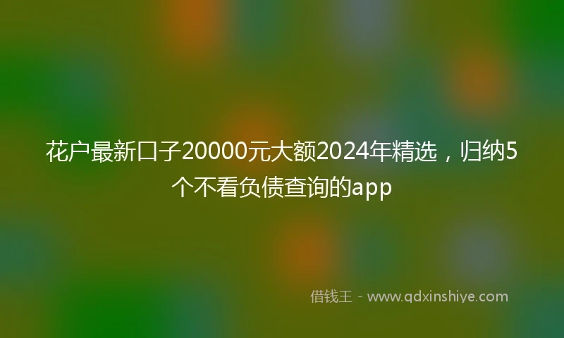 花户最新口子20000元大额2024年精选，归纳5个不看负债查询的app