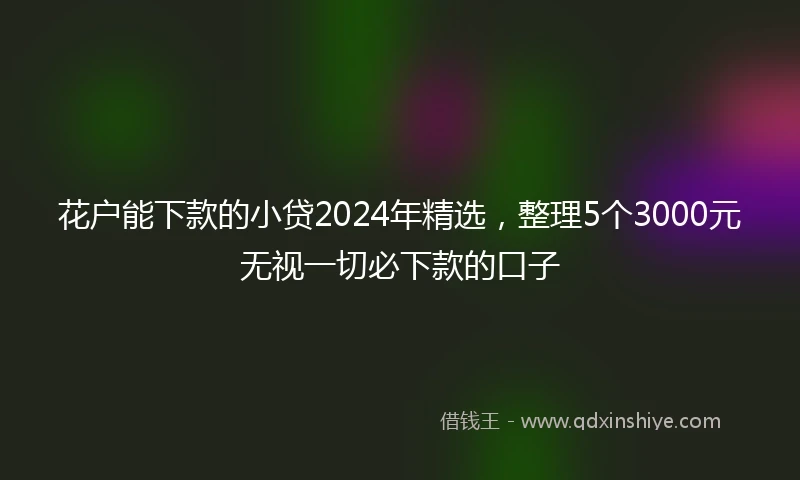 花户能下款的小贷2024年精选，整理5个3000元无视一切必下款的口子
